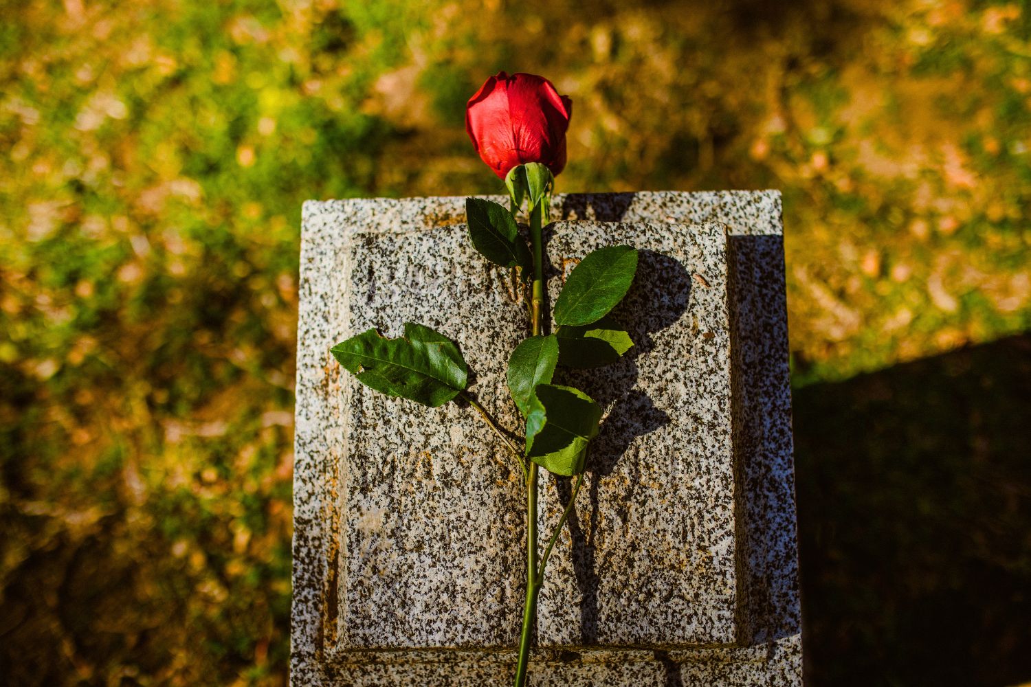 Rouwbegeleiding en emotionele ondersteuning